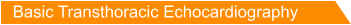 Basic Transthoracic Echocardiography